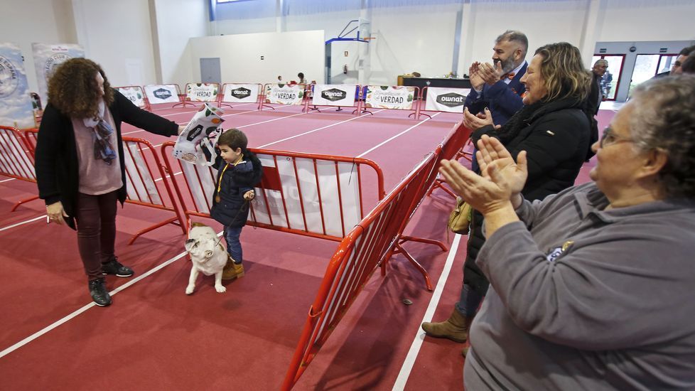 III Exposición Canina de Ponte Caldelas
