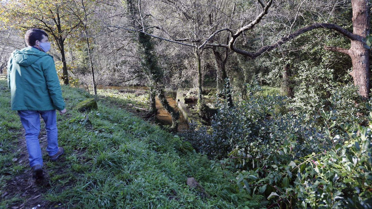Entorno do río Cañón