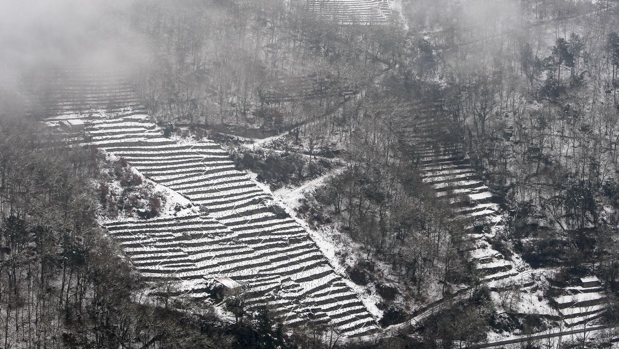 La nieve que deja el temporal cubre los bancales de las viñas de la Ribeira de San Fiz.