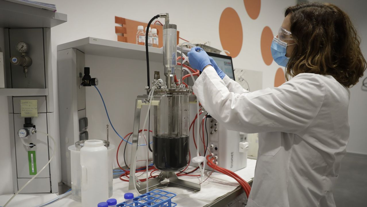 El Cetim desarrolla novedosos bioprocesos para la recuperación de metales de interés en residuos electrónicos