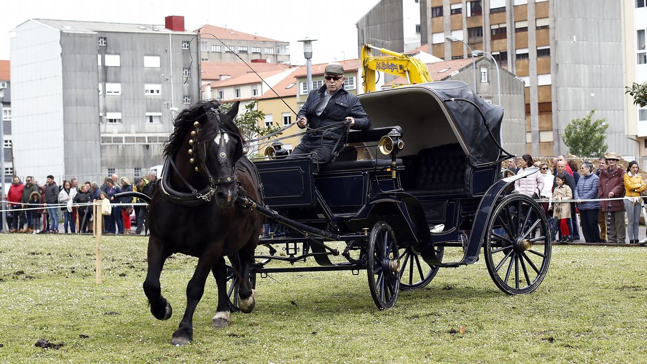 Feria caballar en las Fiestas de San Marcos 2019