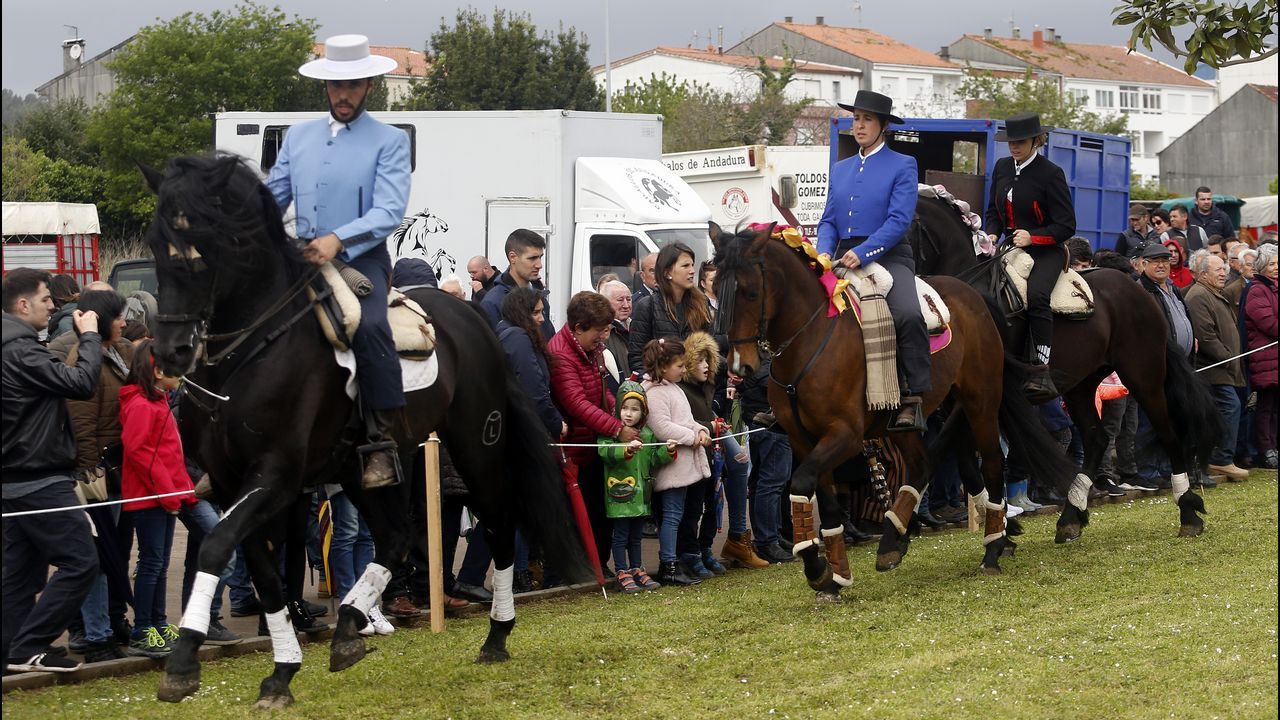 Feria caballar en las Fiestas de San Marcos 2019