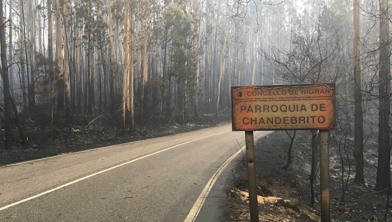 Fuego en la carretera entre Monforte y Pobra