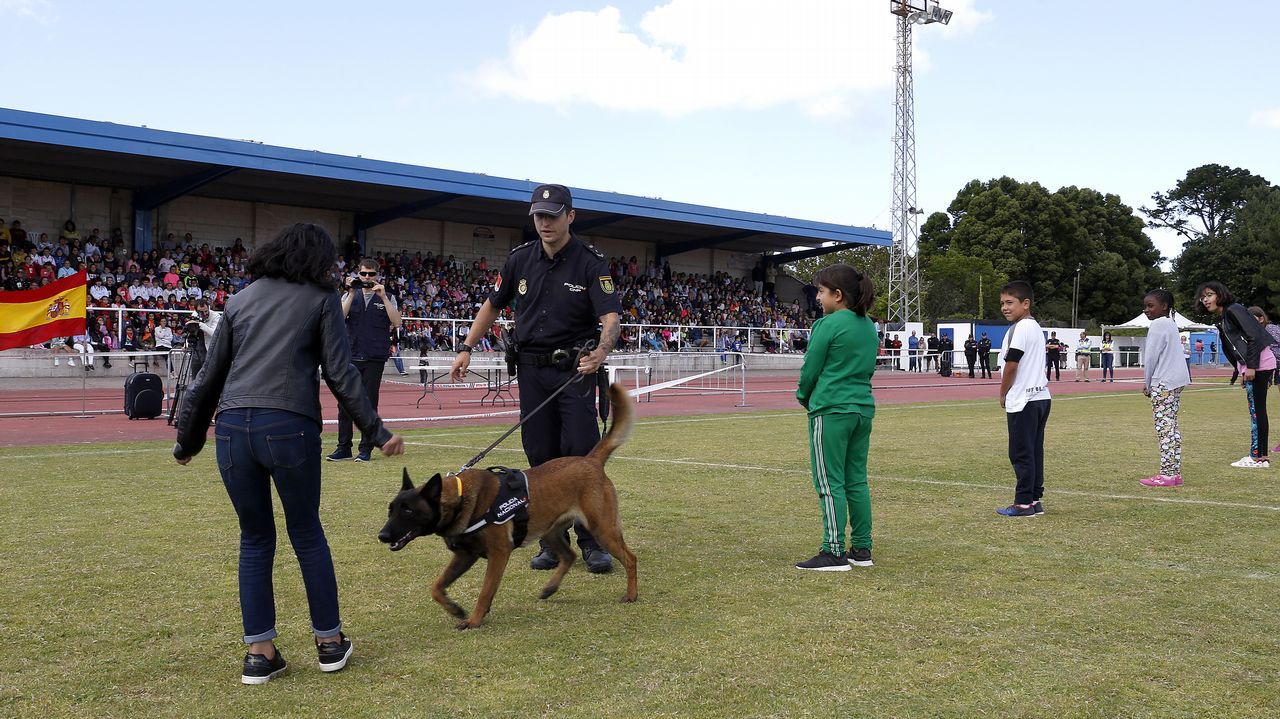 Exhibicion de la Policía Nacional para los escolares de Ribeira con helicoptero, caballería, perros de rastreo