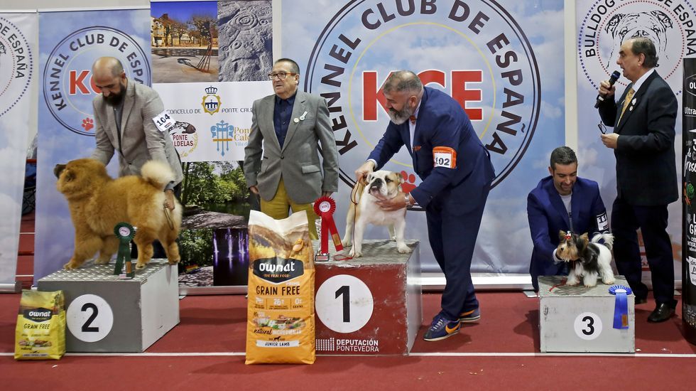 III Exposición Internacional Canina de Ponte Caldelas