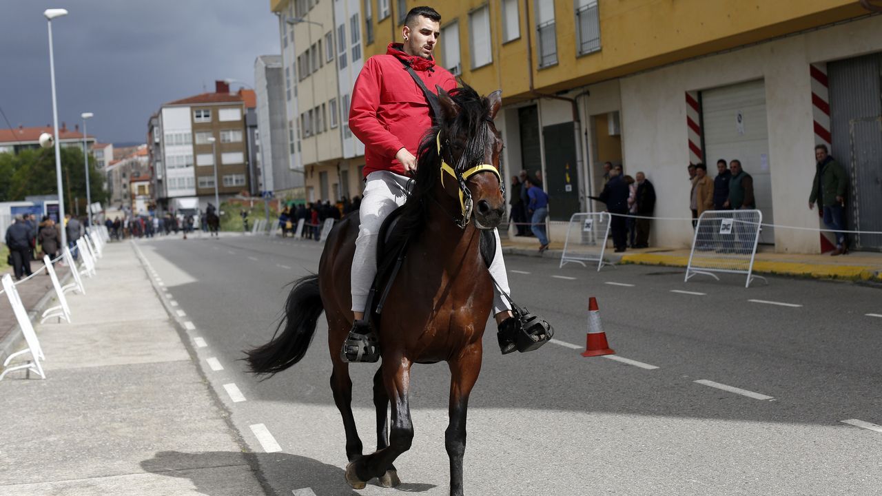 Feria caballar en las Fiestas de San Marcos 2019