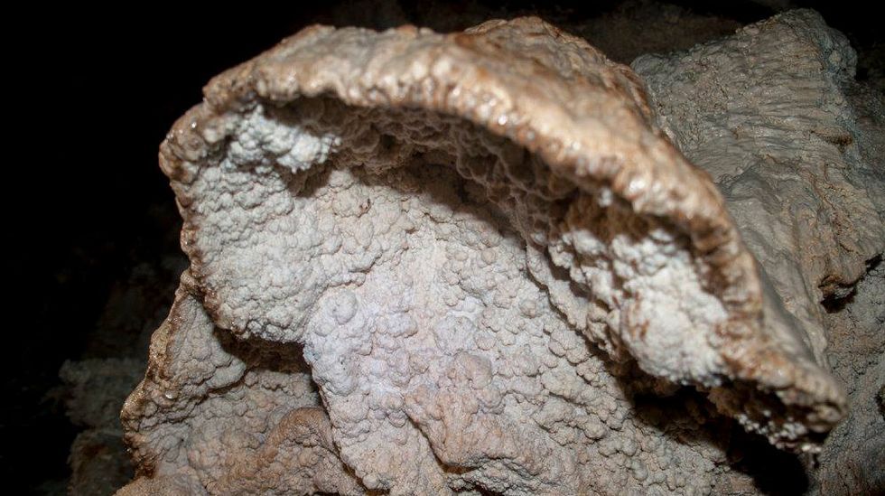 Una de las curiosas formaciones calizas que pueden verse en el interior de la cavidad