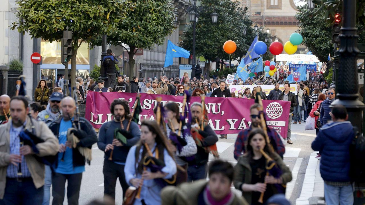 Los defensores de la cooficialidad del asturiano han vuelto a manifestarse hoy por las calles de Oviedo para reclamar que la necesaria reforma del Estatuto de Autonomía para llevarla a cabo se ponga en marcha en la actual legislatura