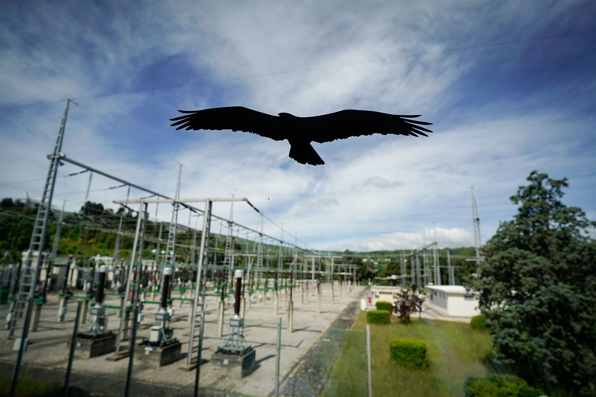 Elctricas comprometidas co medio Ambiente. Subestacin Manzaneda. 22/05/2025