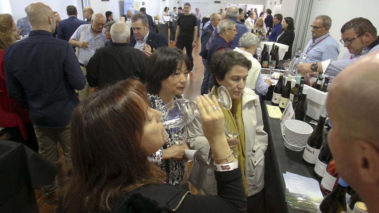 Fevino, cata en el túnel del vino