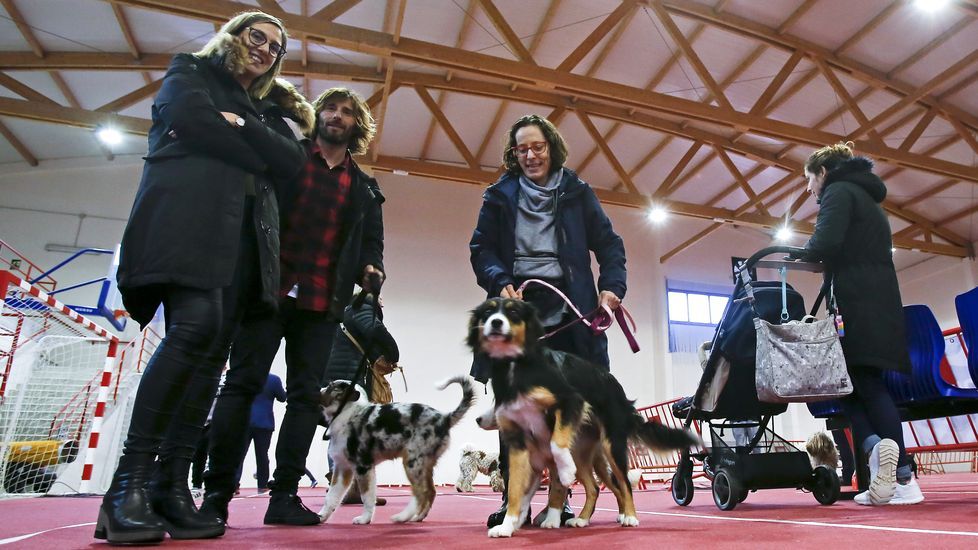 III Exposición Canina de Ponte Caldelas
