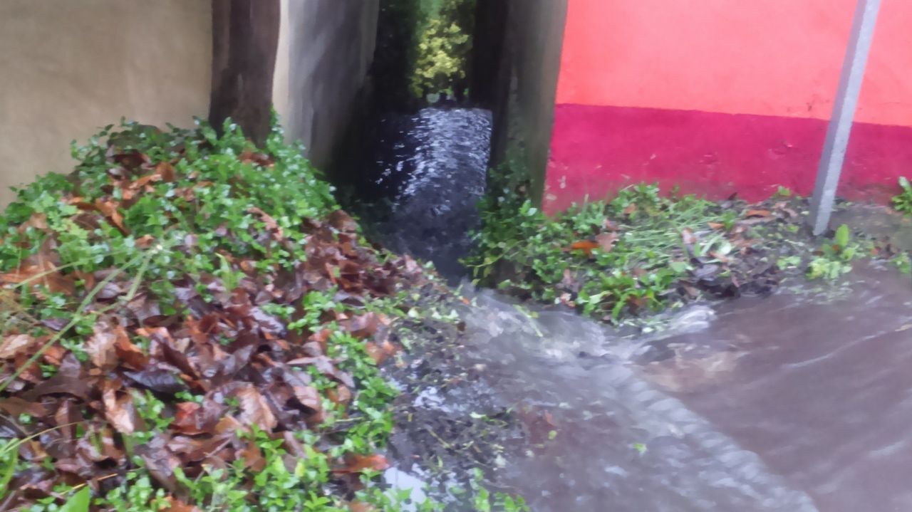 .Las aguas residuales afectaron a varias fincas en la parroquia de Limodre