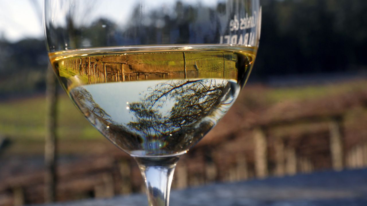 Pazo Baión presenta Vides de Fontán