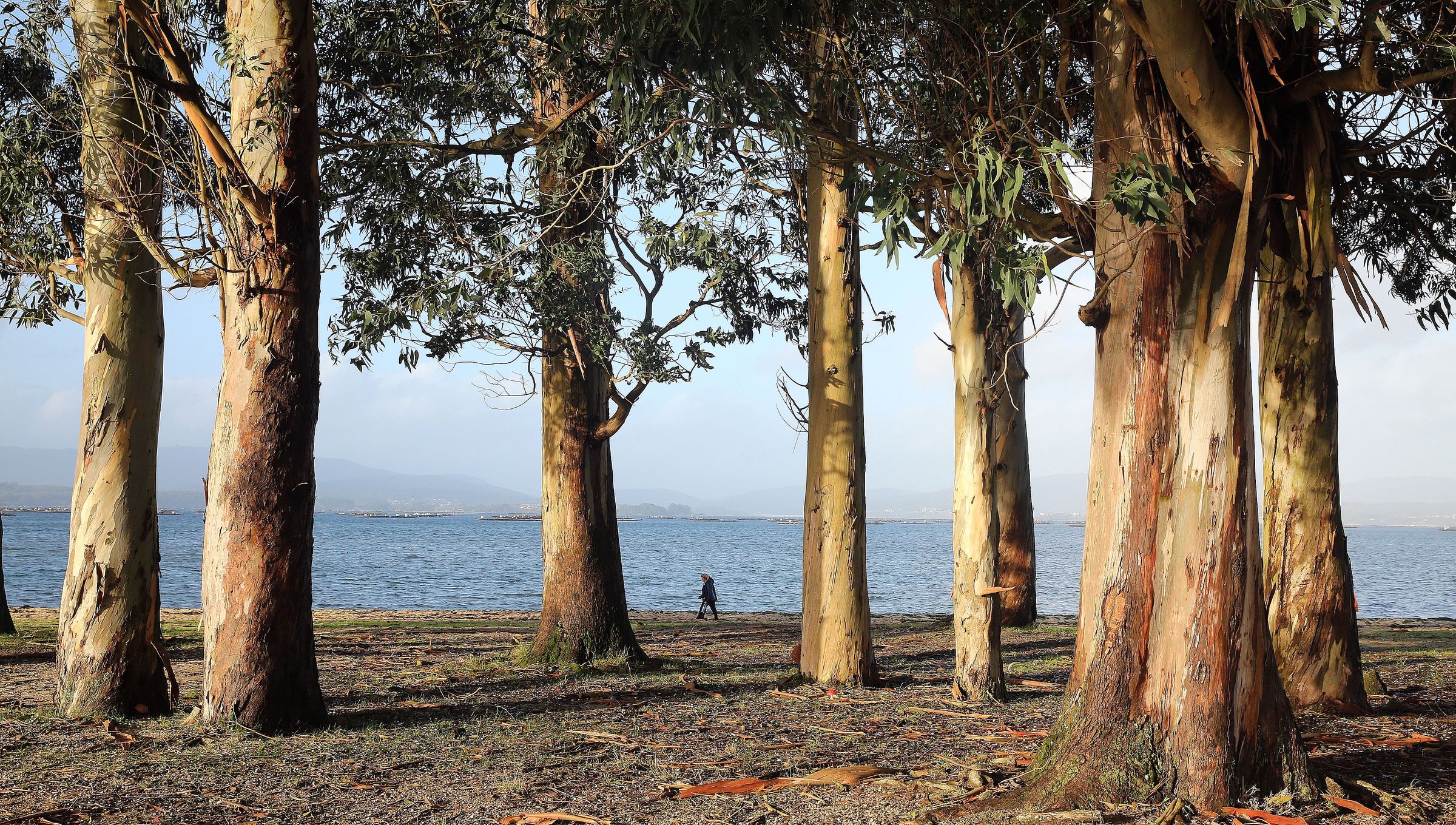 Das persoas pasean pola praia de As Sinas en Vilanova. 7/12/2021