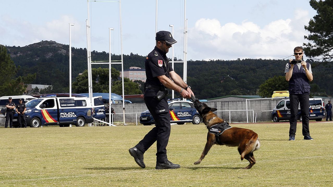 Exhibicion de la Policía Nacional para los escolares de Ribeira con helicoptero, caballería, perros de rastreo