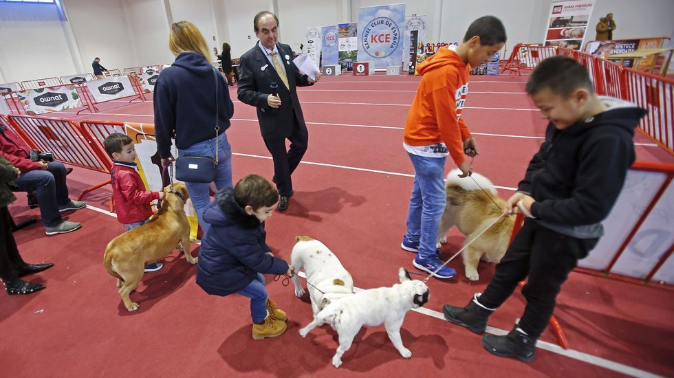 III Exposición Canina de Ponte Caldelas