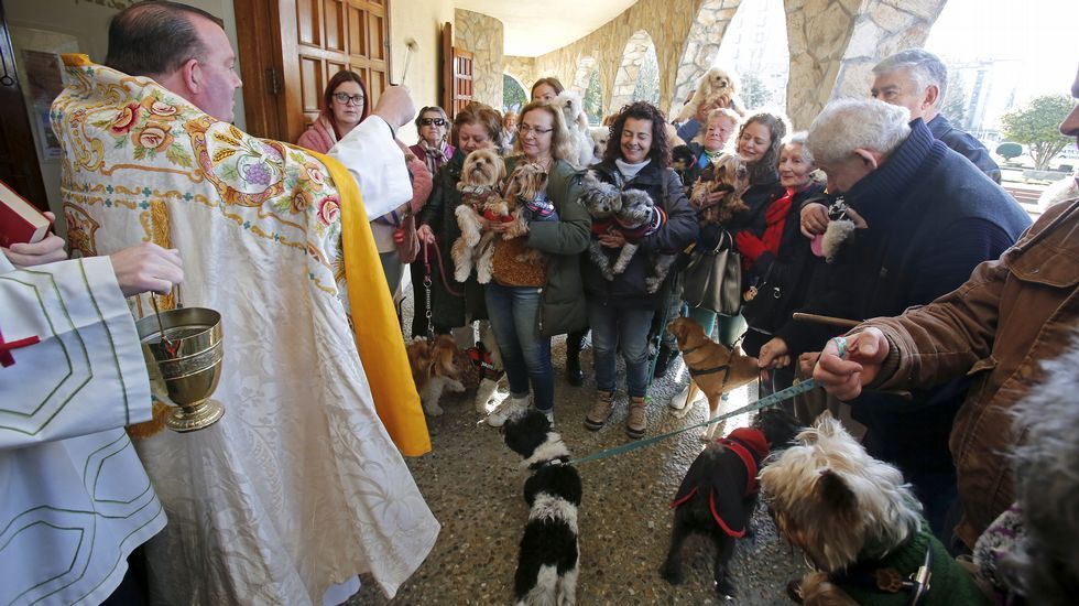 Bendición de mascotas en la iglesia de Campolongo