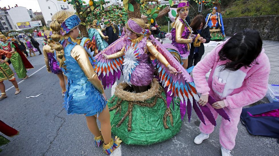 Desfile de Carnaval de Pontevedra
