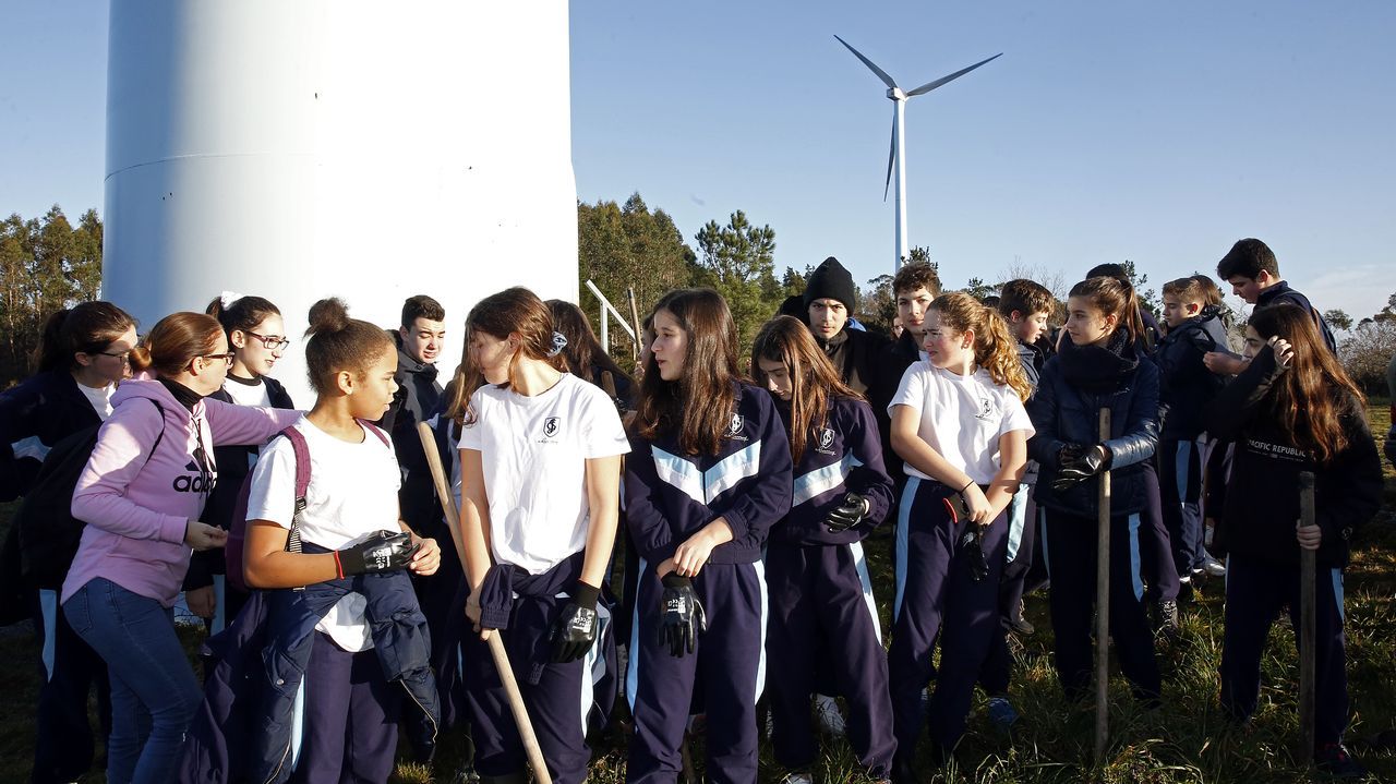 Salida de reforestación en Lousame-Noia, plantación de árboles en Froxán alumnos del colegio Colegio San José de Cluny