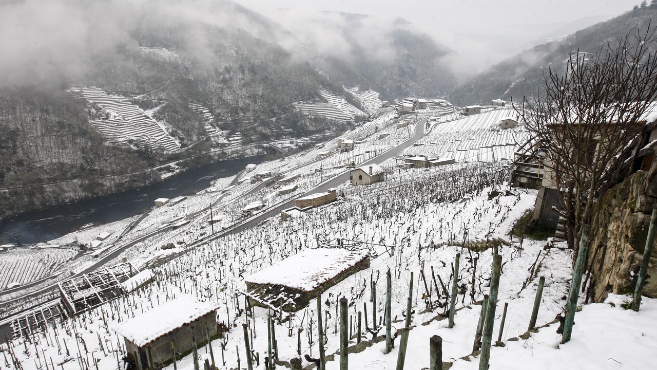La nieve que deja el temporal cubre los bancales de las viñas de la Ribeira de San Fiz.