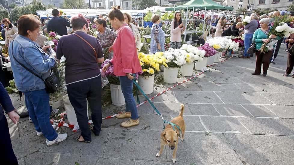 Mercado de flores para Todos los Santos