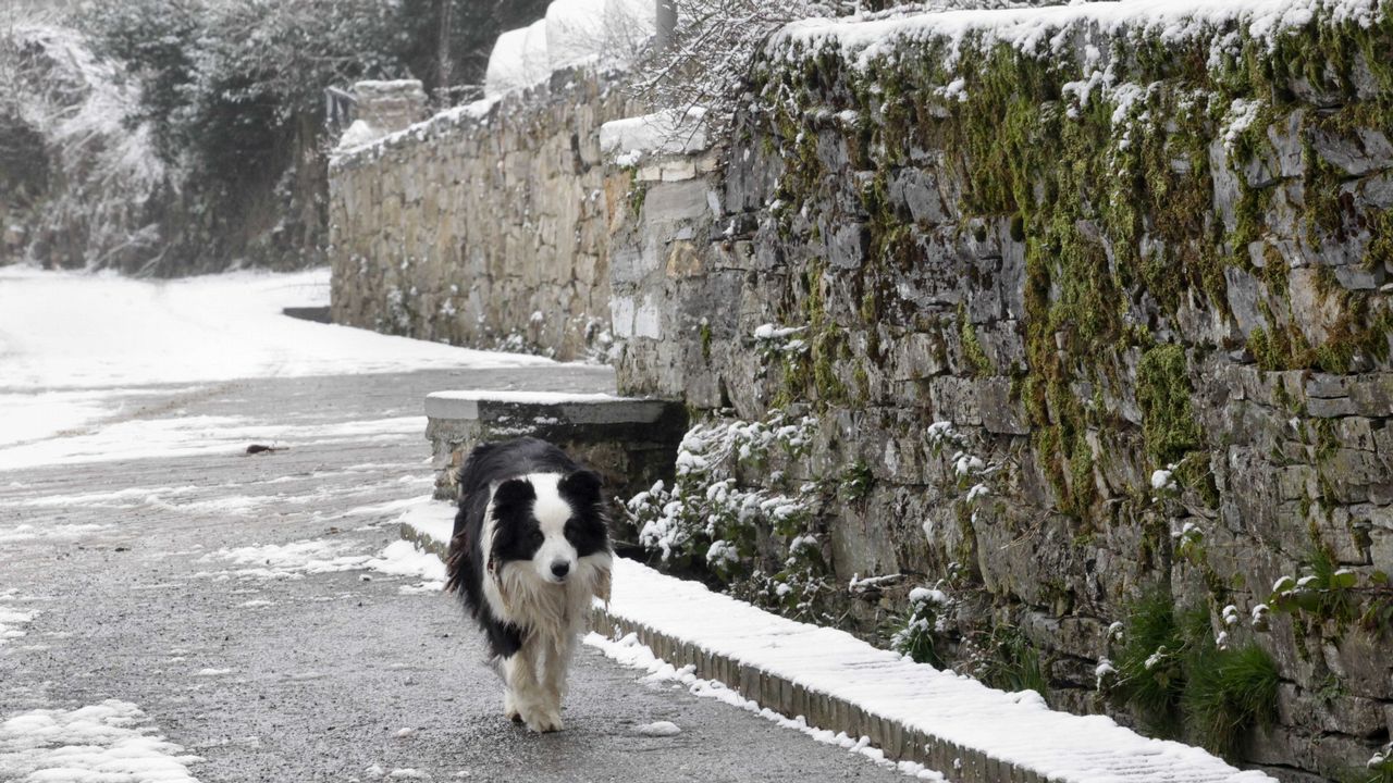 Nieve en O Cebreiro