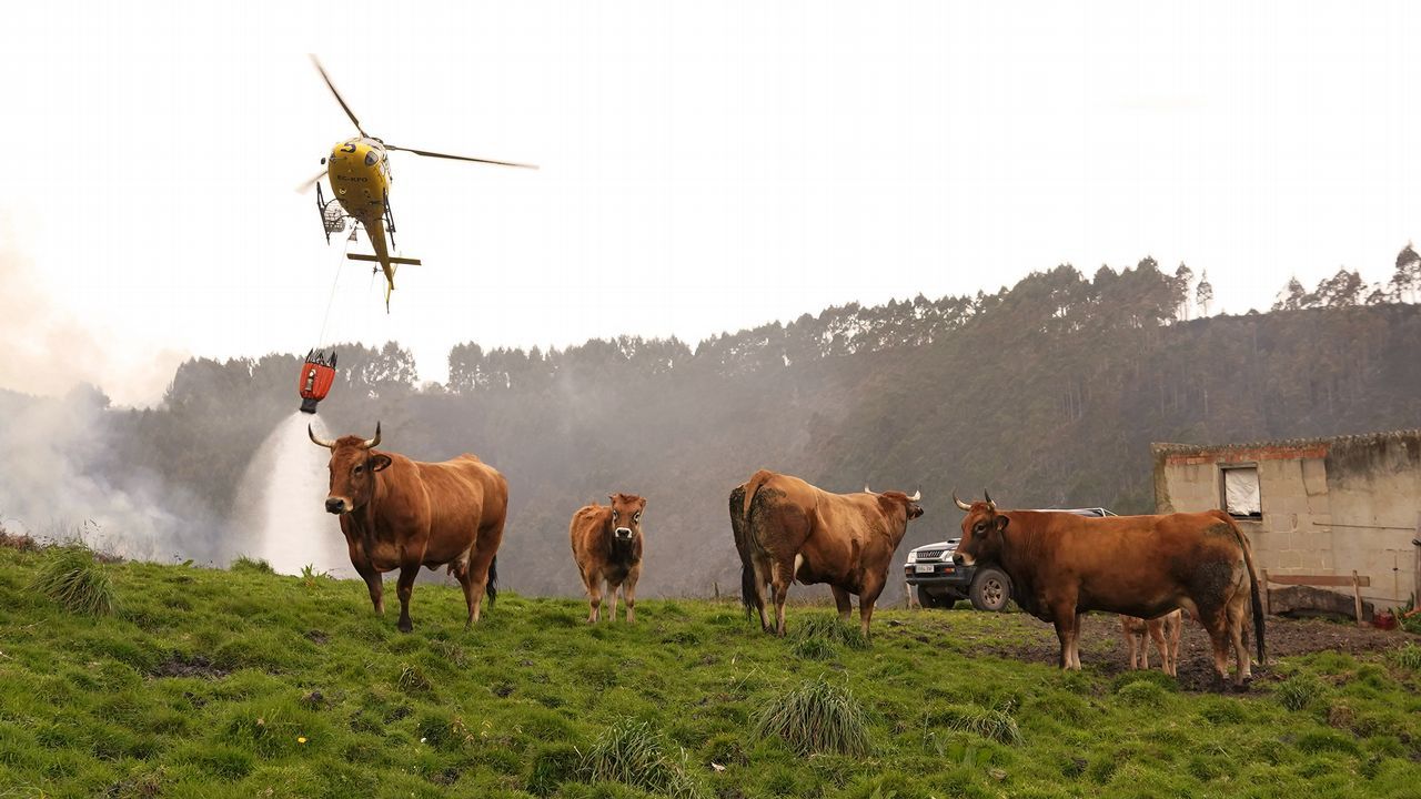 Extinción de los incendios en Asturias