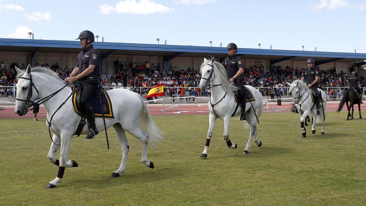Exhibicion de la Policía Nacional para los escolares de Ribeira con helicoptero, caballería, perros de rastreo