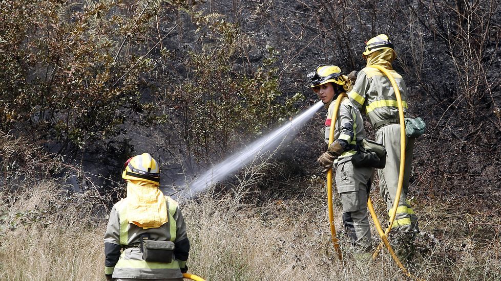 Incendio forestal en Aguasantas