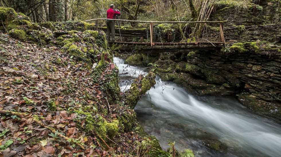 El puente de As Reboleiras salva el impetuoso caudal del río Seceda