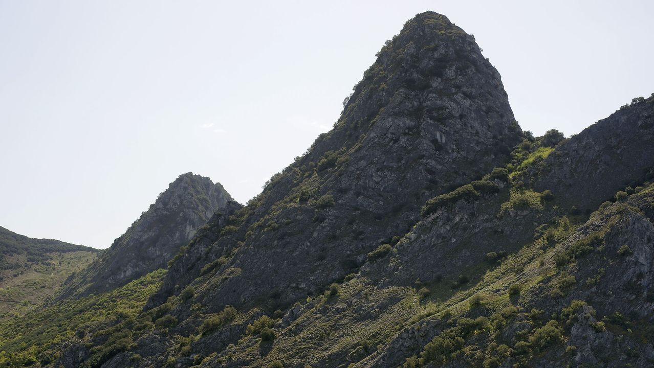 Parque Natural da Enciña da Lastra