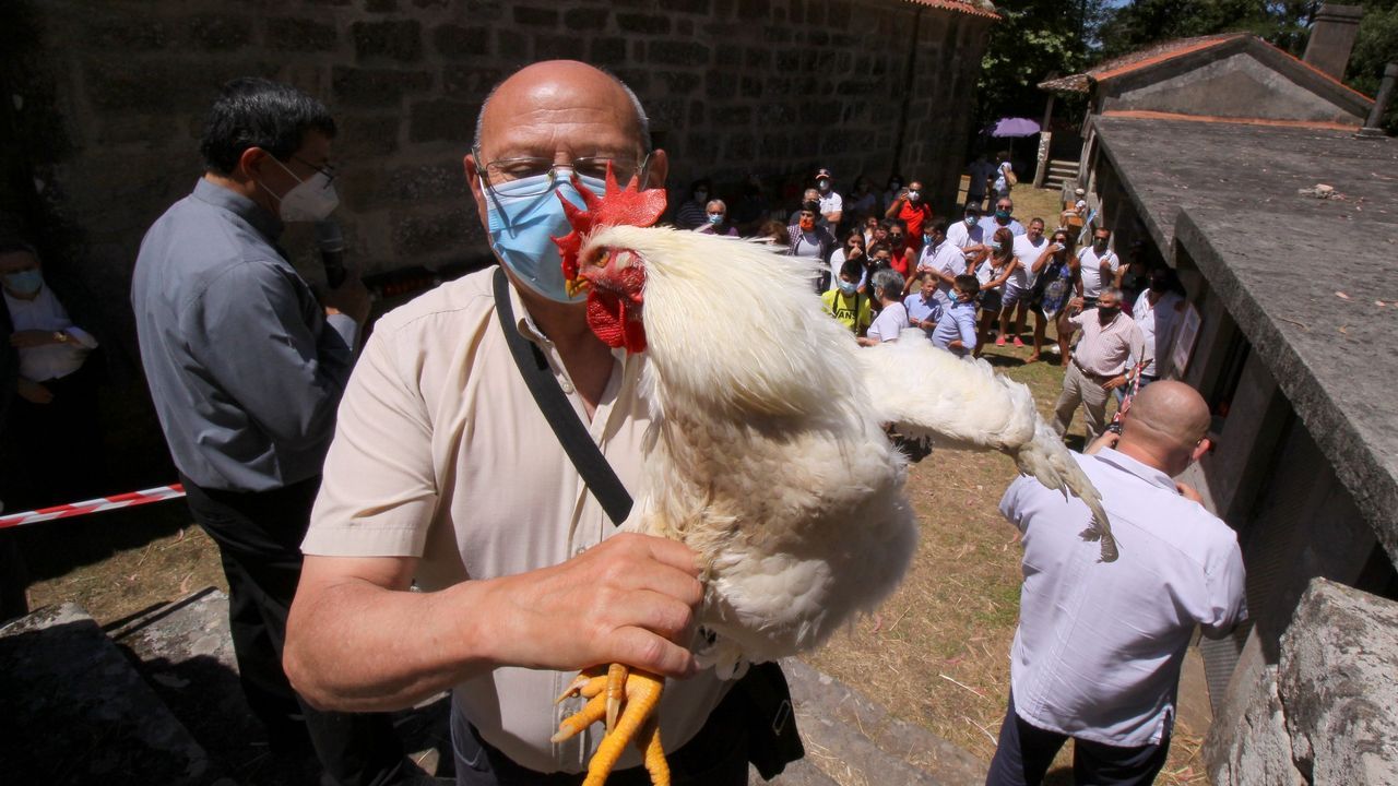 MISA EN SAN BENITO DE SERANS CON LA SUBASTA DE GALLOS