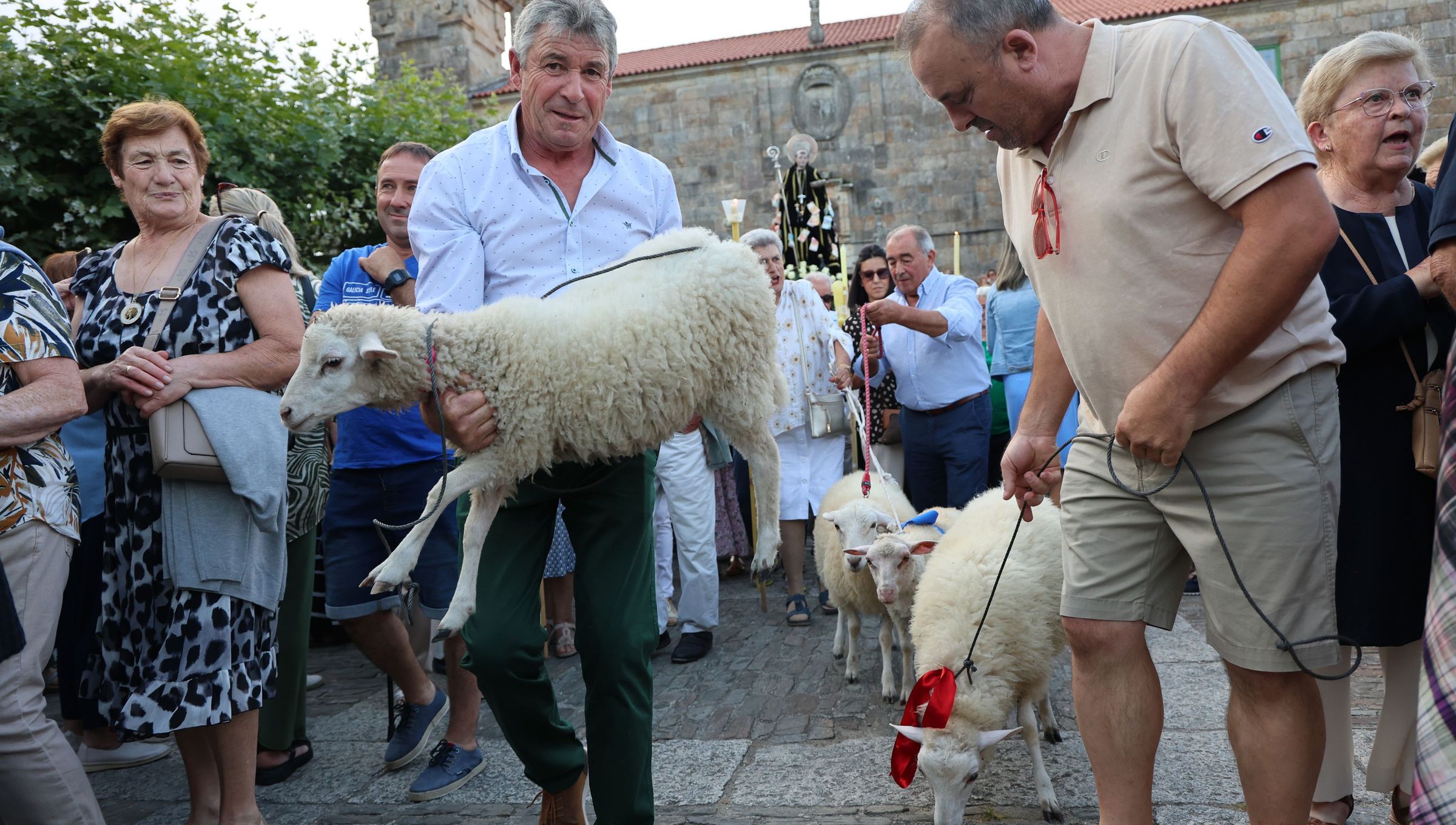 Fieles portando aos como ofrenda na procesin de San Bieito de Cambados. 11/07/2025