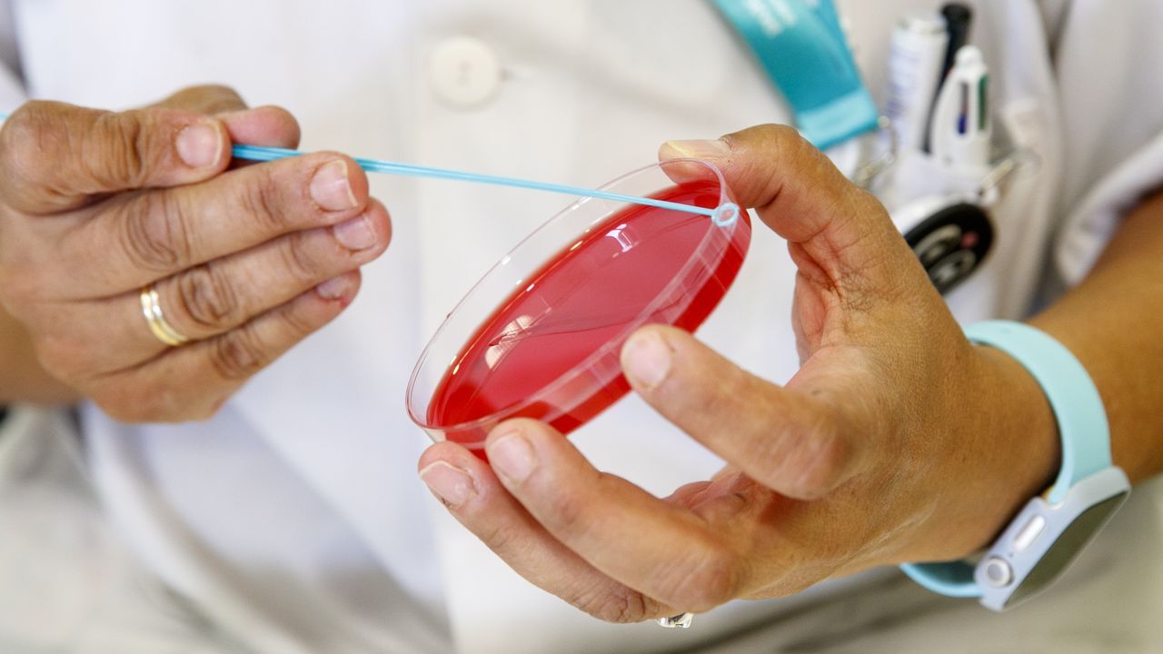 T�cnicos de laboratorio preparan unas muestras de covid para analizar