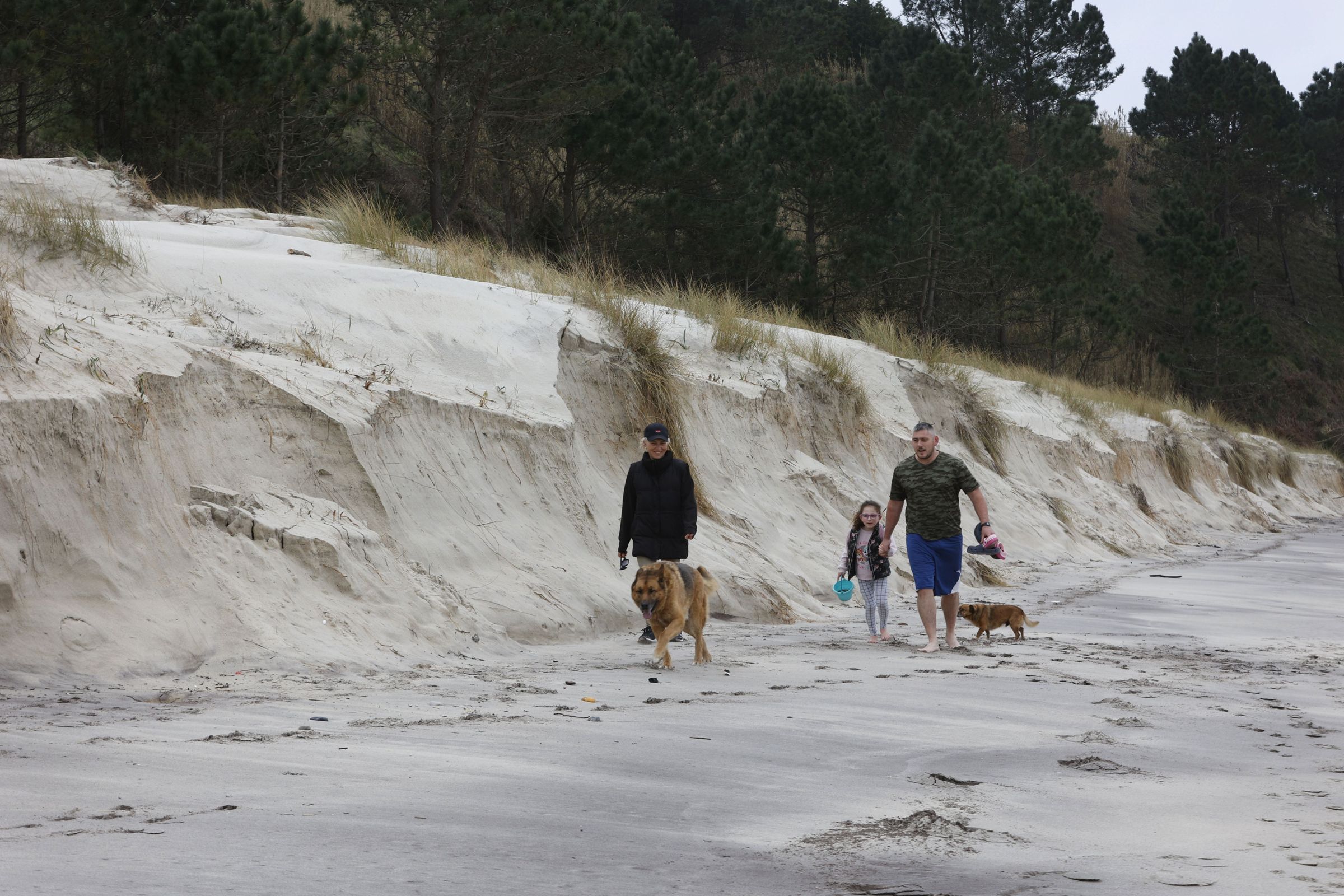 Dunas da praia de Major en Sanxenxo afectadas polos temporais Herminia e Ivo. 01/02/2025