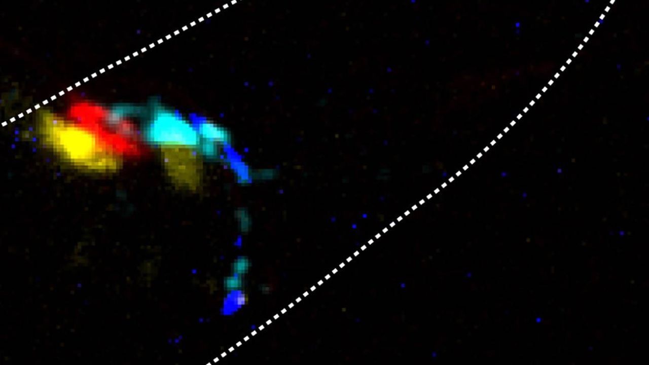 Una incisi�n de 8 cent�metros y una recuperaci�n r�pida: as� es el primer trasplante de pulmones robotizado. En la imagen, detalle donde el sabor de un neurotransmisor qu�mico ha sido reemplazado por el color del fot�n. La neurona de color azul cian es presin�ptica para el amarillo y el rojo y, por lo tanto, controla su actividad utilizando luz de ese color cian