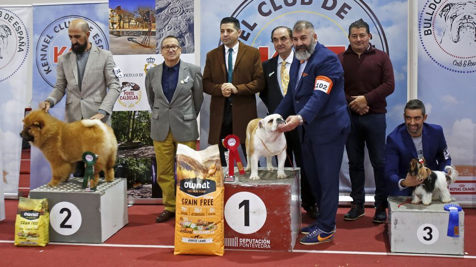 III Exposición Internacional Canina de Ponte Caldelas
