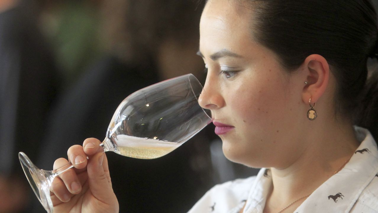 Túnel del vino en Fevino