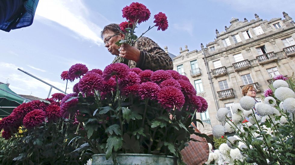 Mercado de flores para Todos los Santos