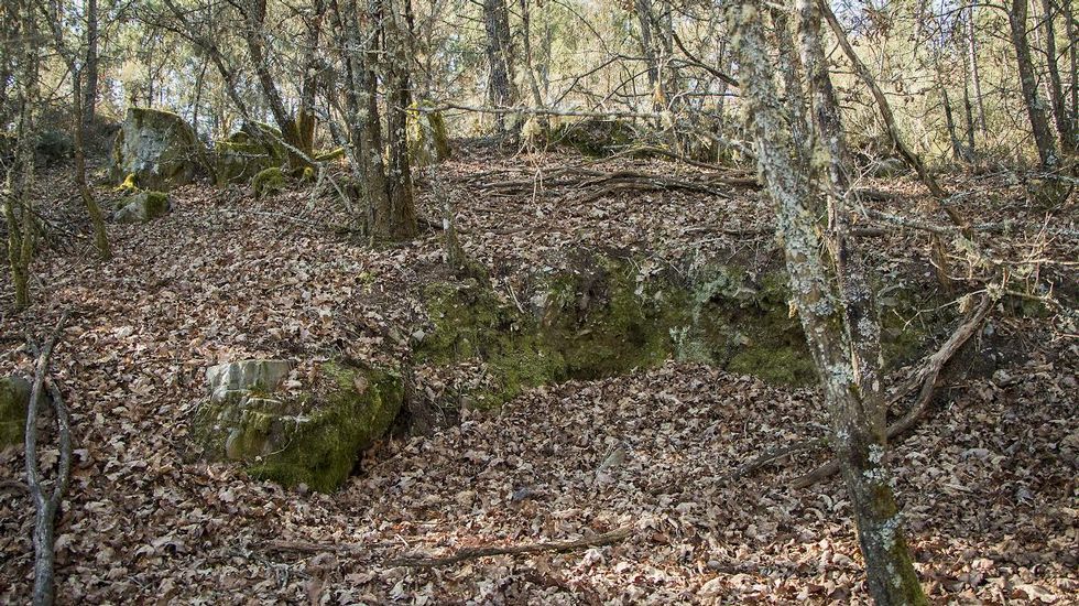 El castro de Vilamaior está muy alterado por la agricultura y el reaprovechamiento de sus piedras