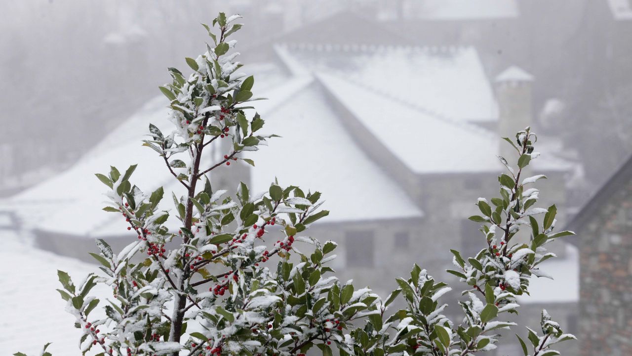 Nieve en O Cebreiro