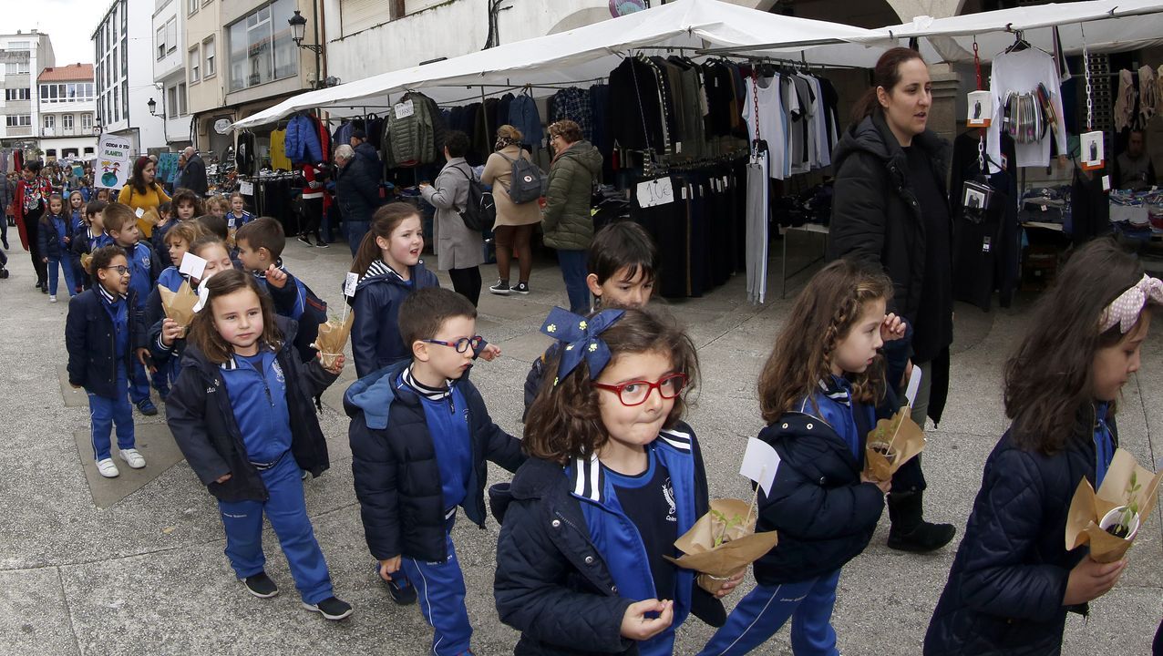 Voz Natura final del colegio Jaime Balmes, entrega de brotes de hortalizas de su huerto escolar 2020