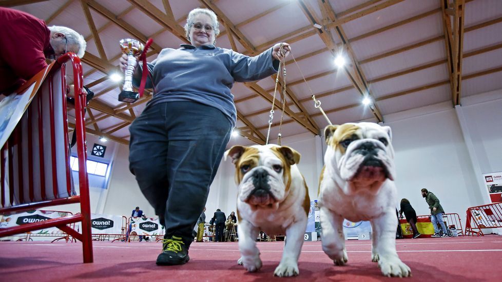 III Exposición Canina de Ponte Caldelas