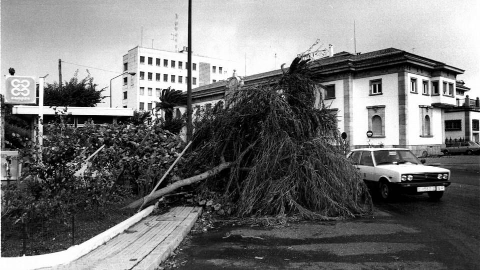 Coche aplastado por un árbol derribado en San Caetano, Santiago.