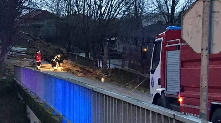 ASÍ HA CASTIGADO EL TEMPORAL A OURENSE.En Xinzo de Limia, el temporal dejó varios árboles caídos