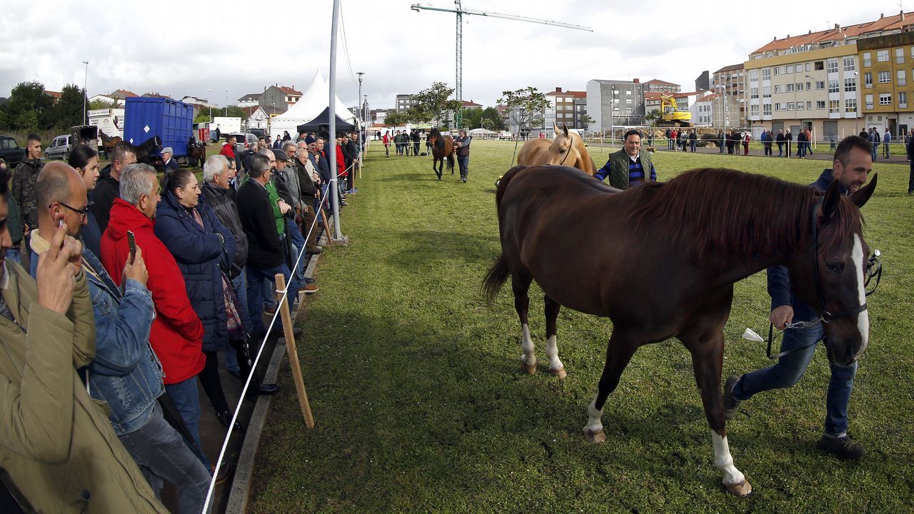 Feria caballar en las Fiestas de San Marcos 2019