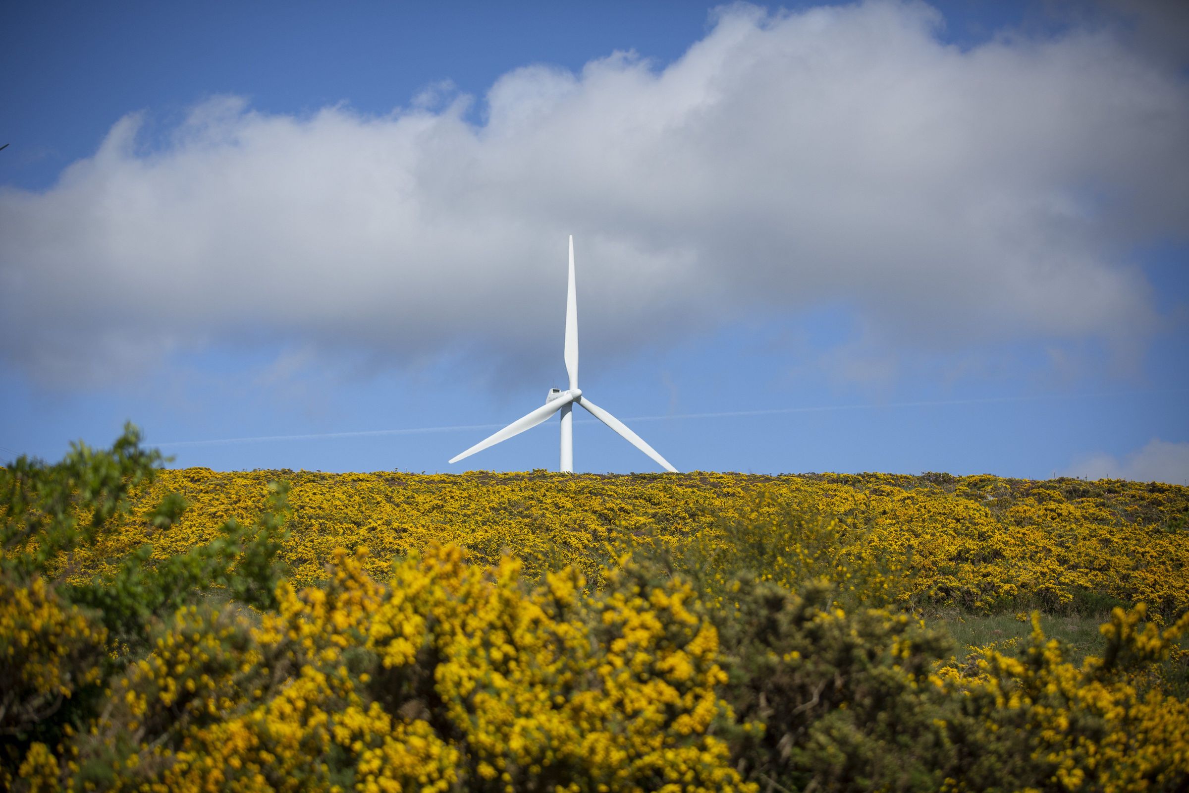 Parque E�lico do Corz�n , Negreira. 07/05/2021