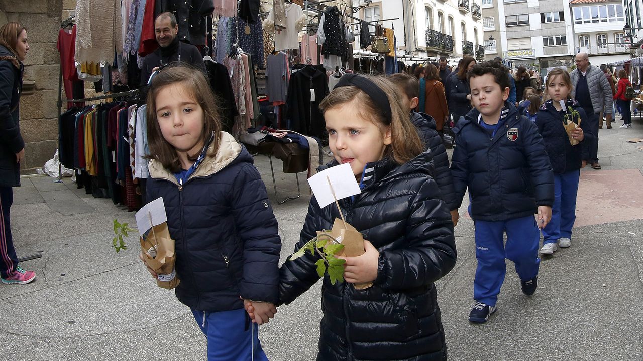 Voz Natura final del colegio Jaime Balmes, entrega de brotes de hortalizas de su huerto escolar 2020