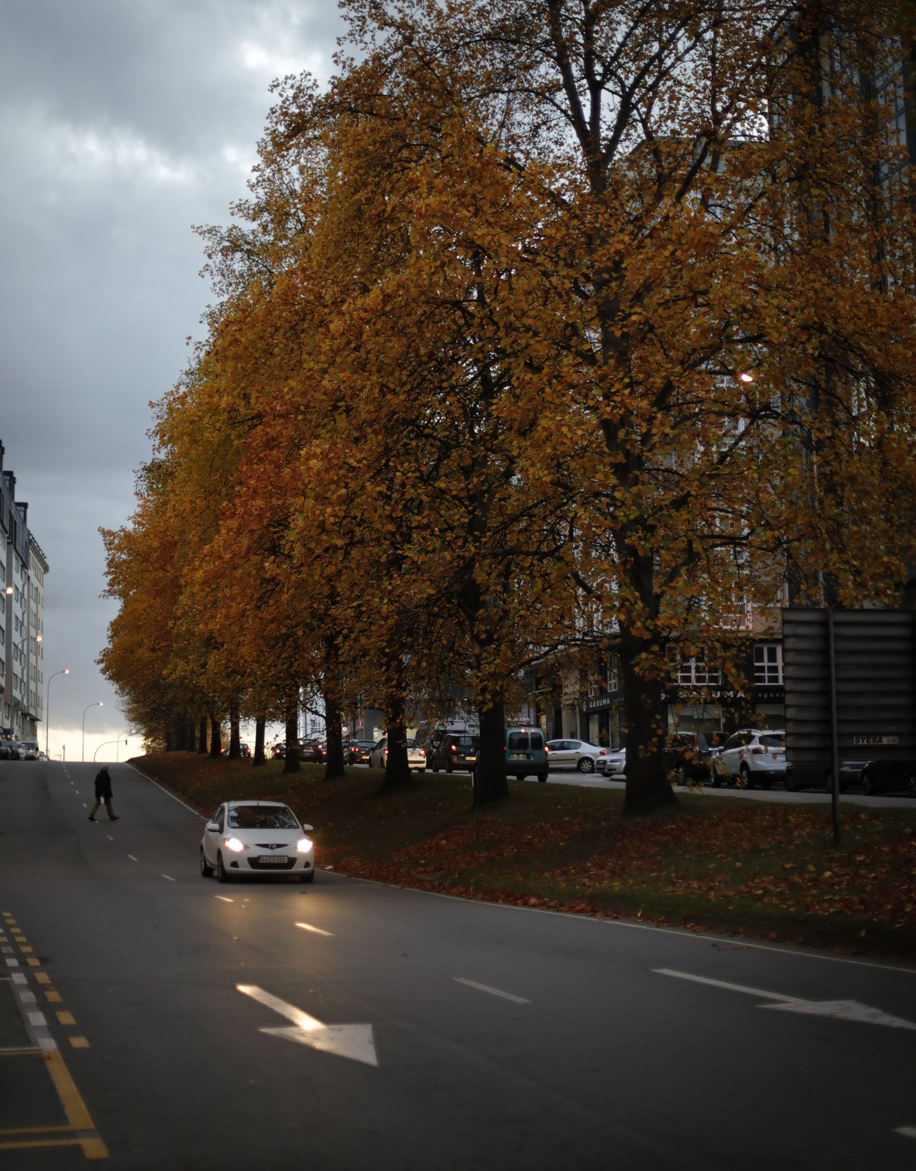 Outono na avenida de Arteixo en A Coru�a. 24/11/2021