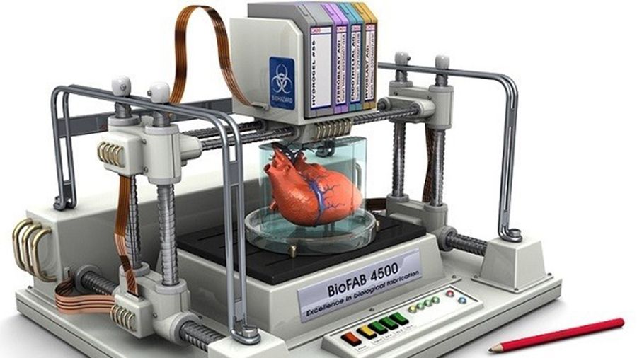 Una bioimpresora 3D